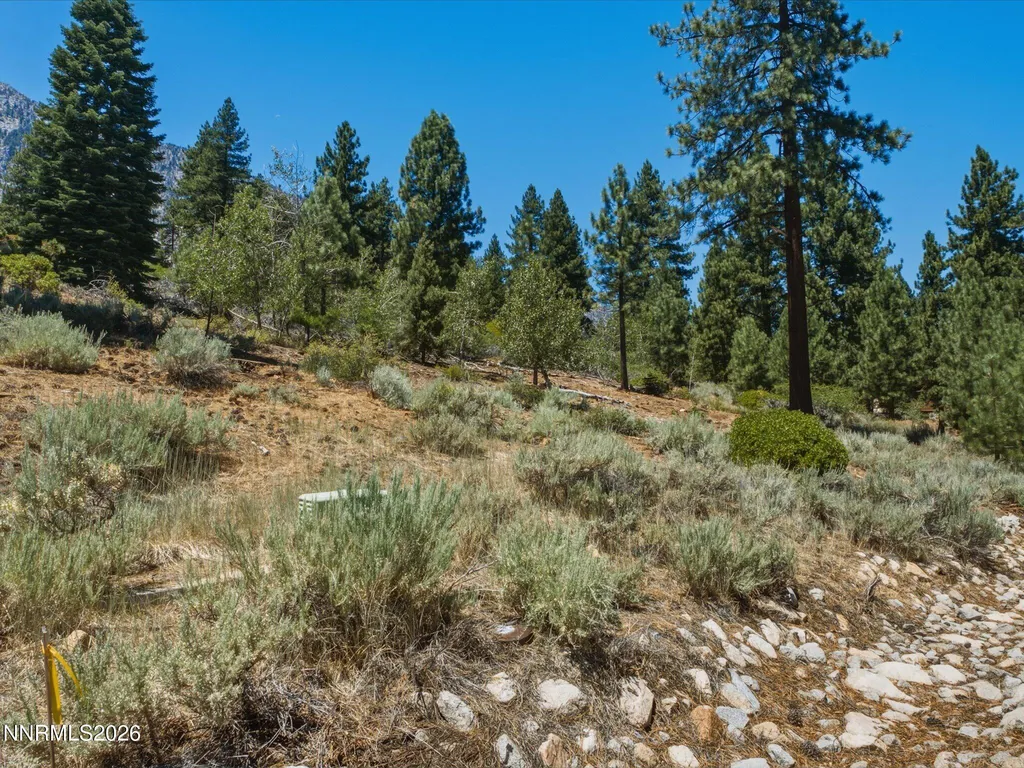 490 Nature's Edge Gardnerville NV 89460