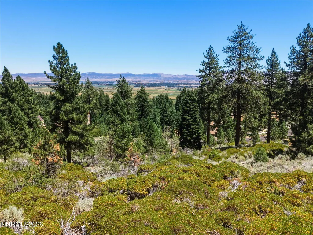 490 Nature's Edge Gardnerville NV 89460