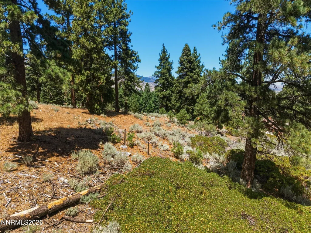 490 Nature's Edge Gardnerville NV 89460