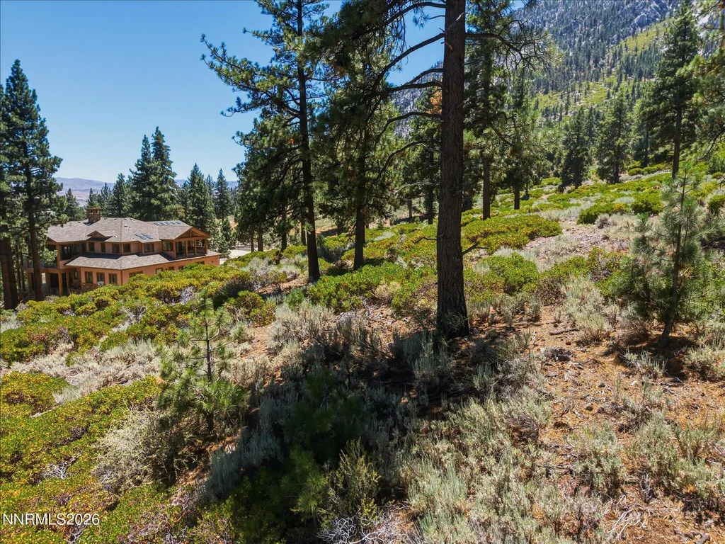 490 Nature's Edge Gardnerville NV 89460