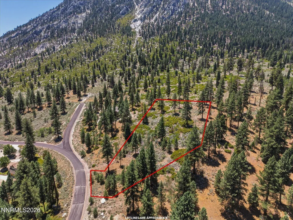 490 Nature's Edge Gardnerville NV 89460