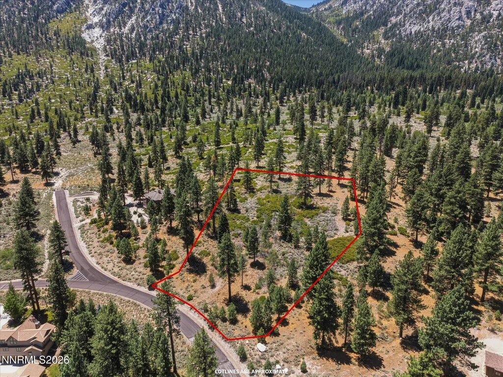490 Nature's Edge Gardnerville NV 89460