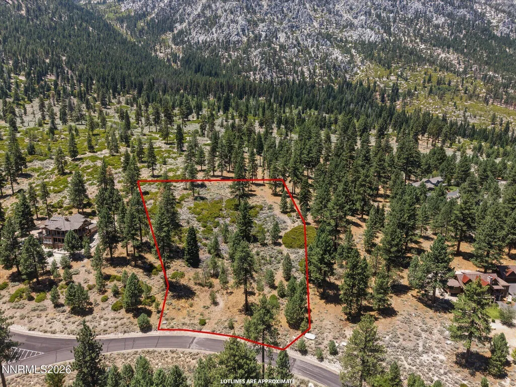 490 Nature's Edge Gardnerville NV 89460