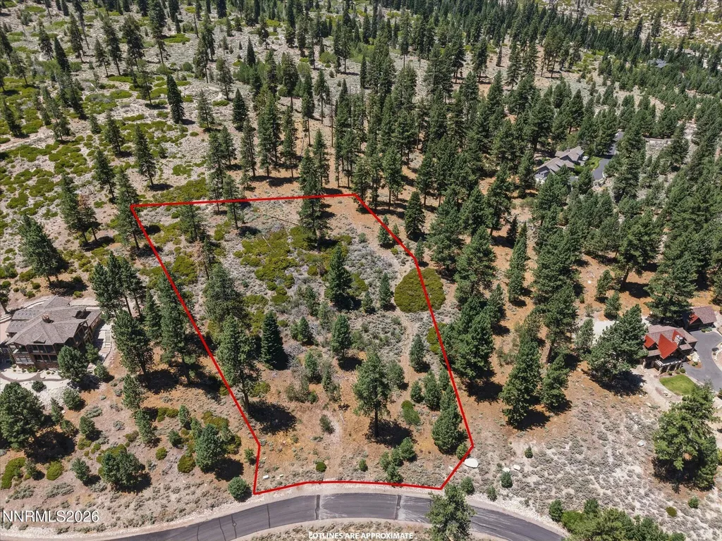 490 Nature's Edge Gardnerville NV 89460