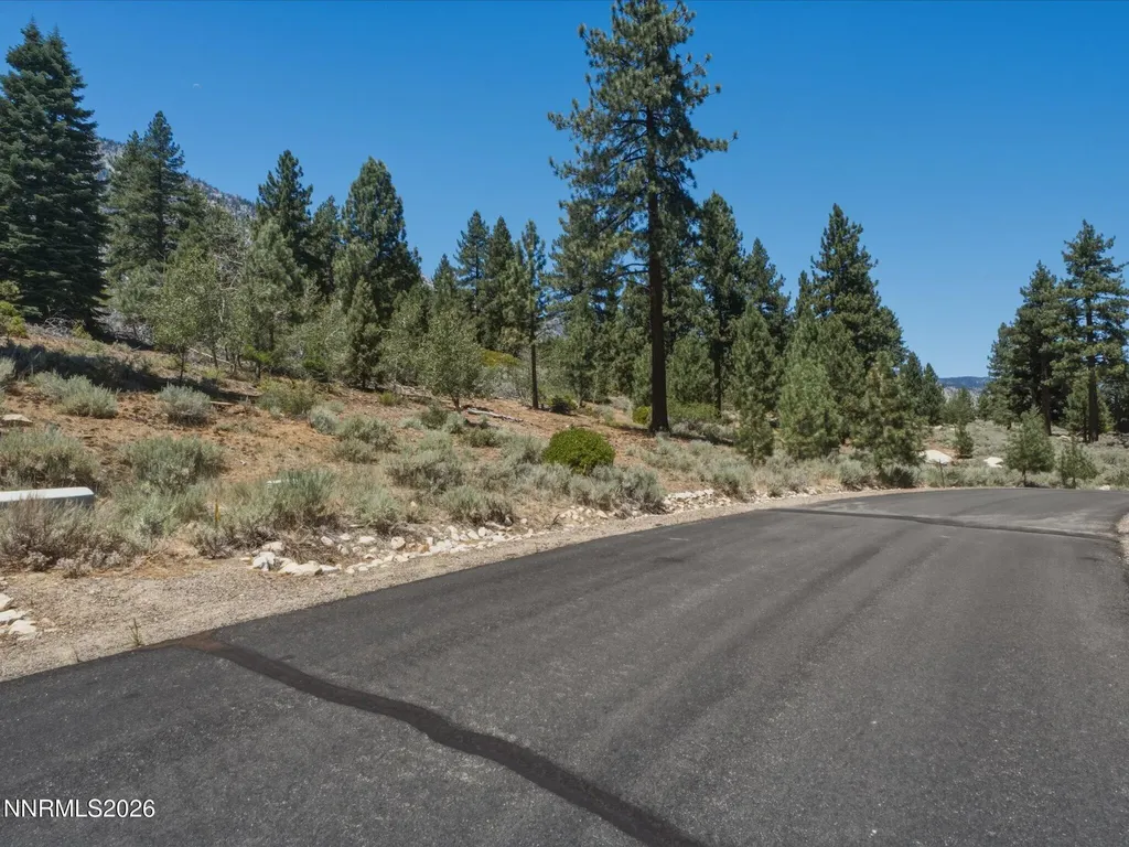 490 Nature's Edge Gardnerville NV 89460
