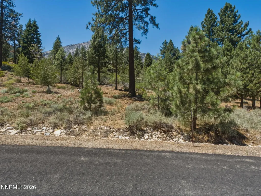 490 Nature's Edge Gardnerville NV 89460