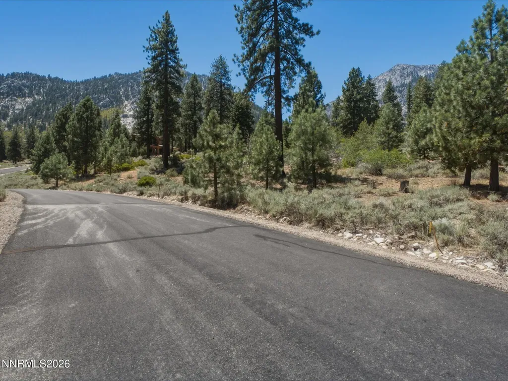 490 Nature's Edge Gardnerville NV 89460