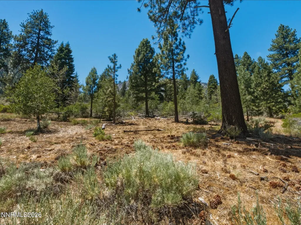 490 Nature's Edge Gardnerville NV 89460