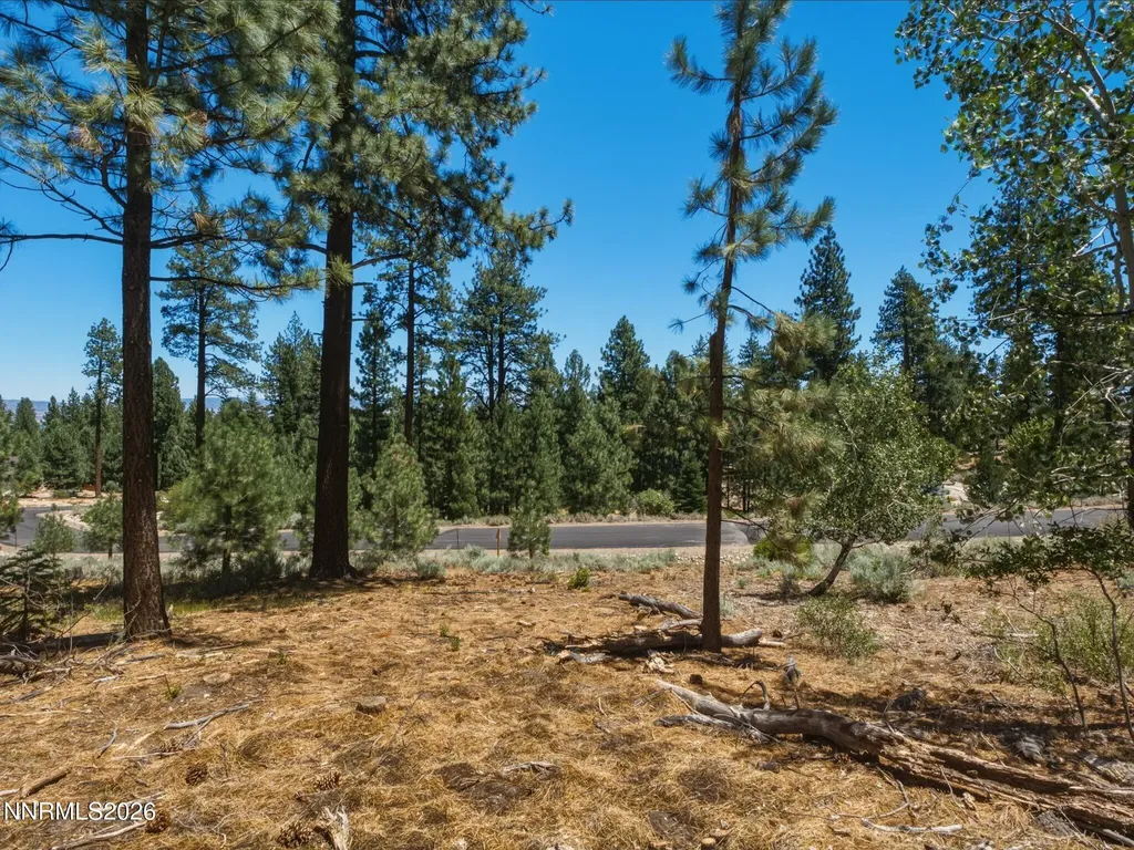 490 Nature's Edge Gardnerville NV 89460