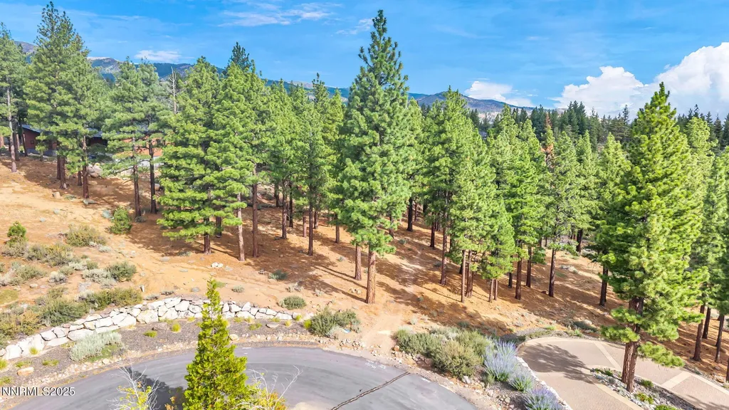 205 Timbercreek Reno NV 89511