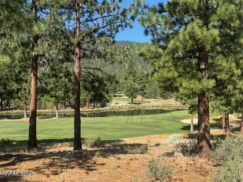 193 Redding Carson City NV 89705