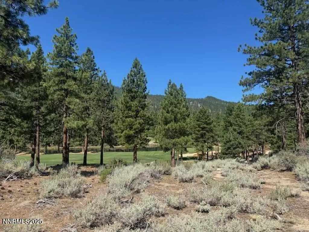 193 Redding Carson City NV 89705