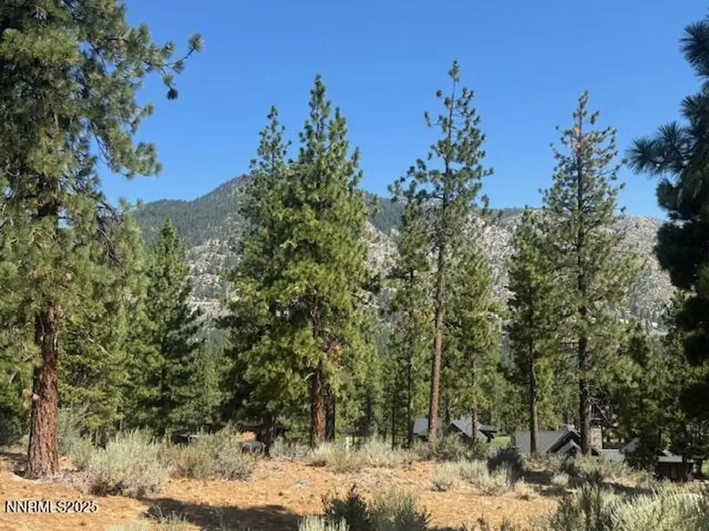 193 Redding Carson City NV 89705