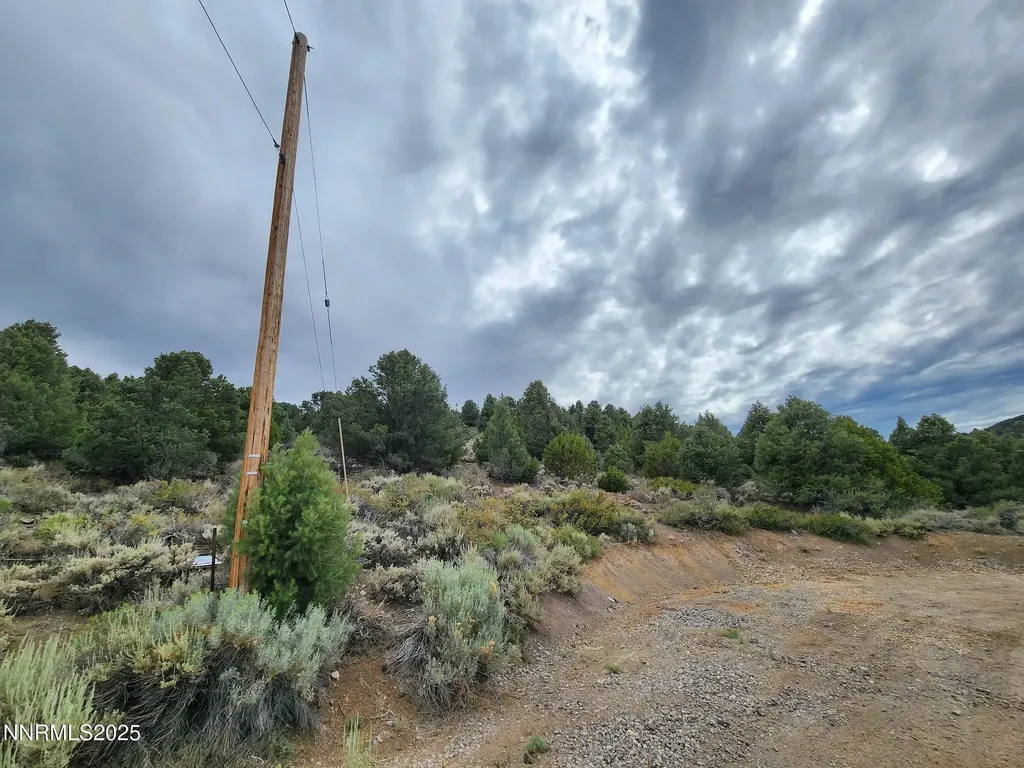 21915 Panhandle Reno NV 89521