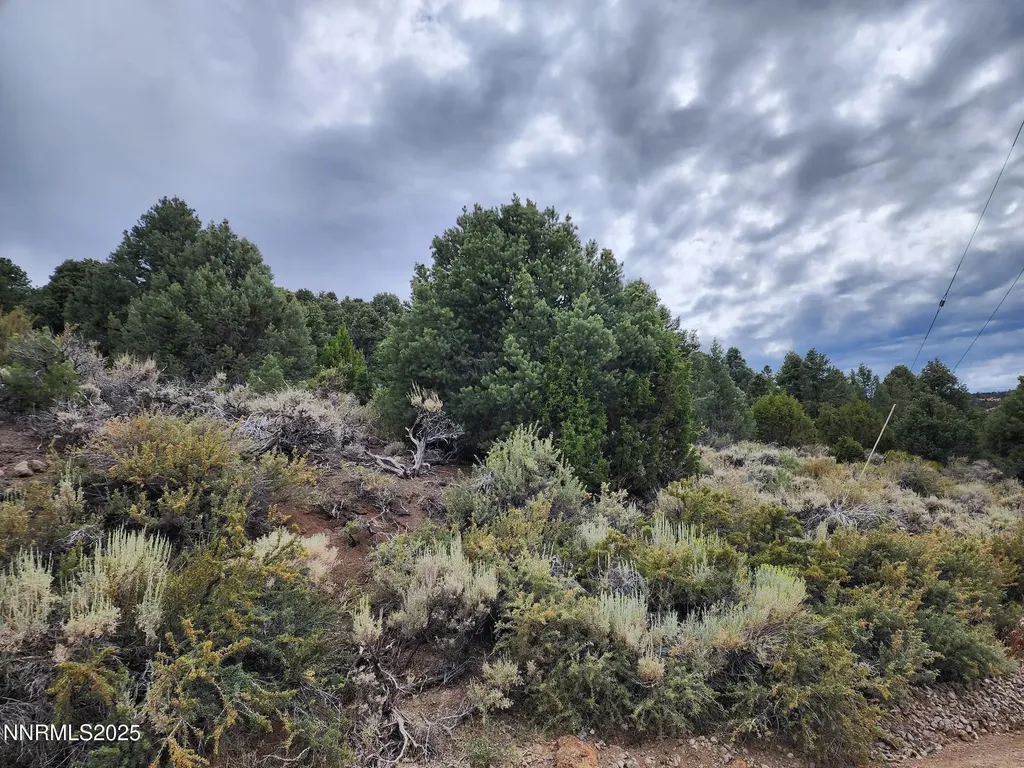 21915 Panhandle Reno NV 89521