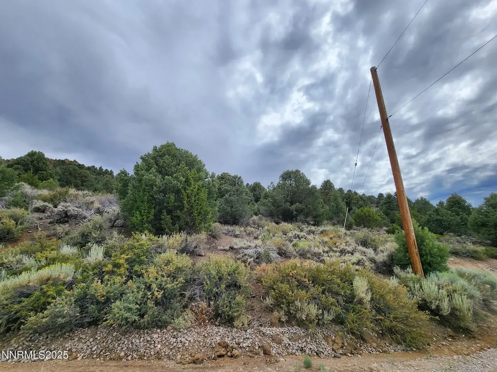 21915 Panhandle Reno NV 89521