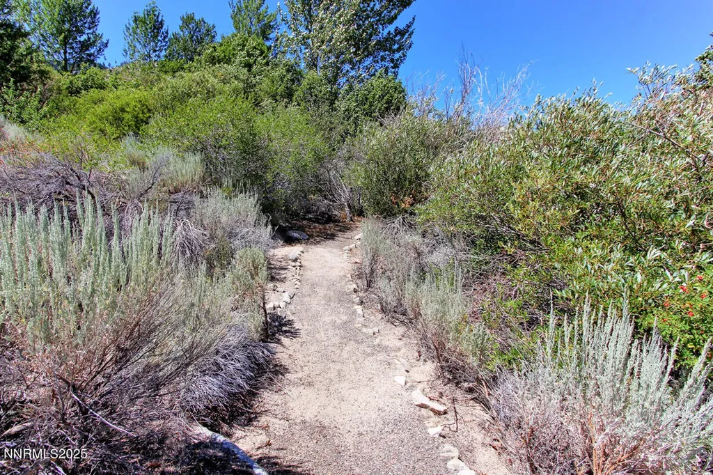 1272 Kingsbury Grade Gardnerville NV 89460