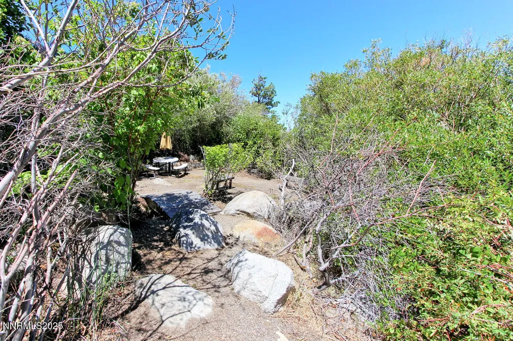 1272 Kingsbury Grade Gardnerville NV 89460