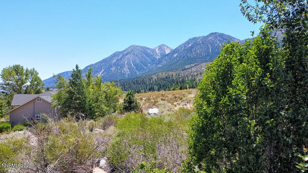 1272 Kingsbury Grade Gardnerville NV 89460