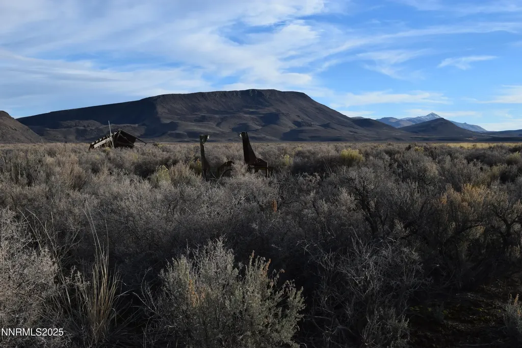 3303 High Rock Gerlach NV 89412