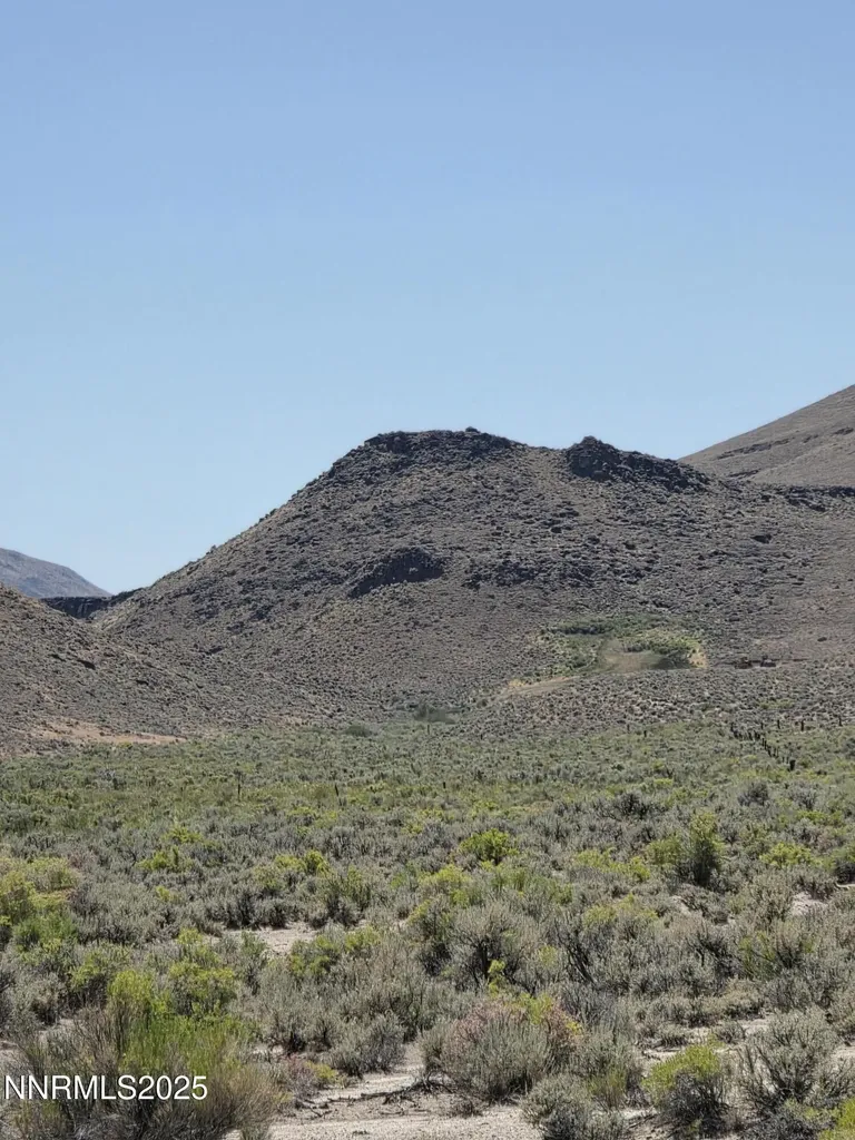 3303 High Rock Gerlach NV 89412