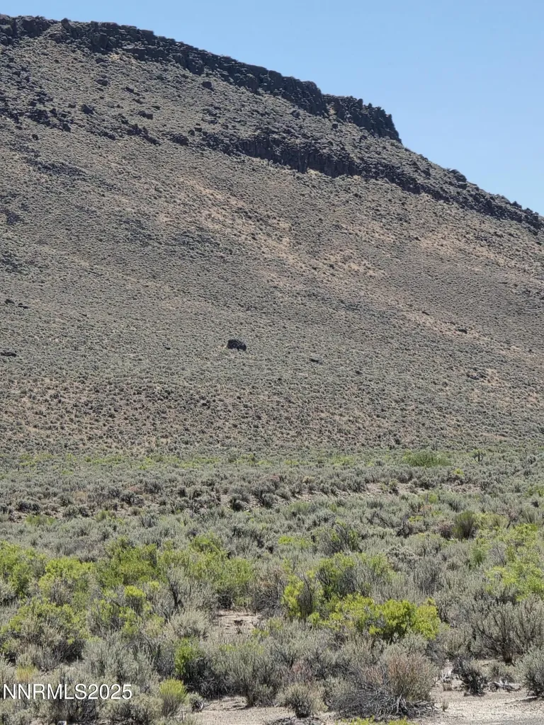 3303 High Rock Gerlach NV 89412