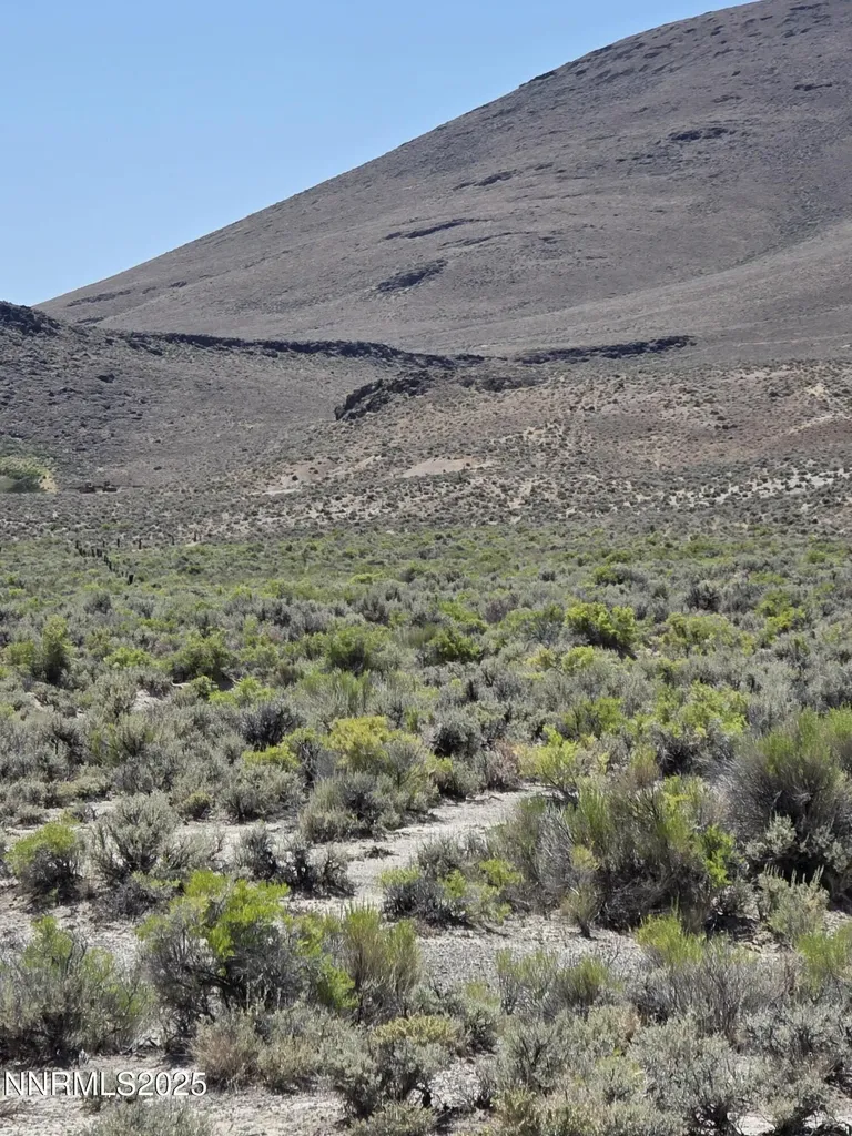 3303 High Rock Gerlach NV 89412