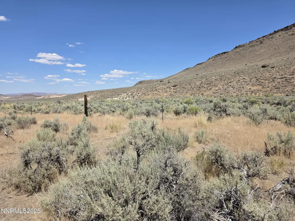 3303 High Rock Gerlach NV 89412
