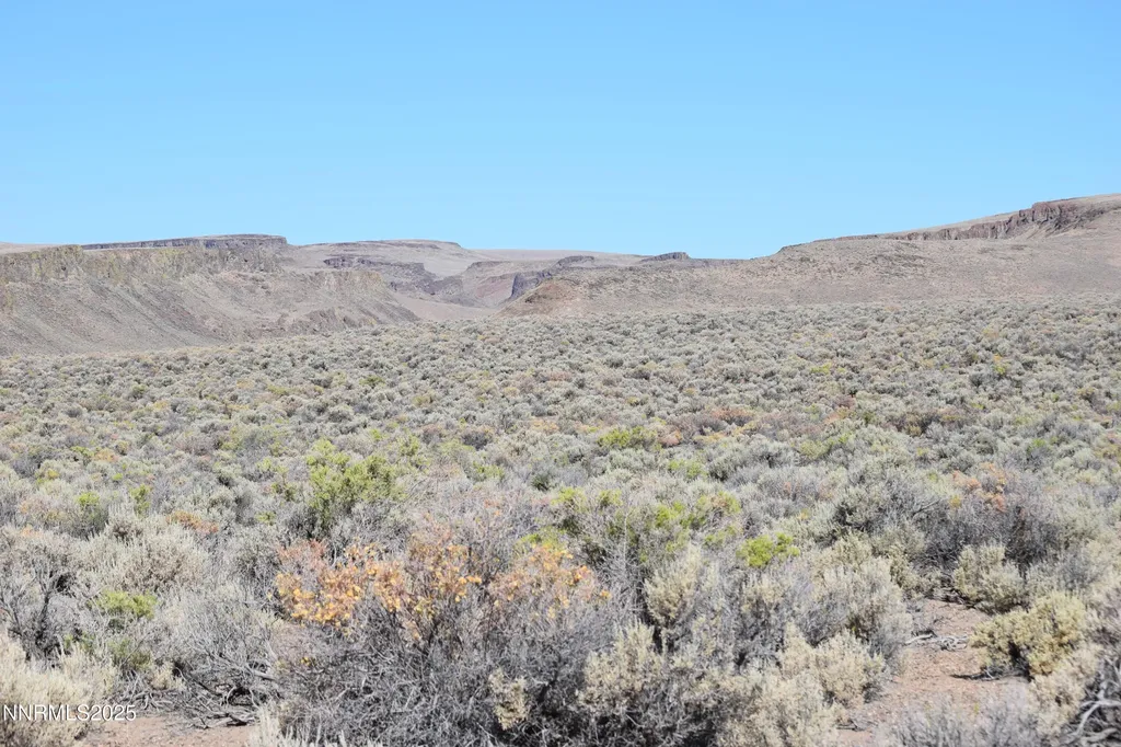 3303 High Rock Gerlach NV 89412