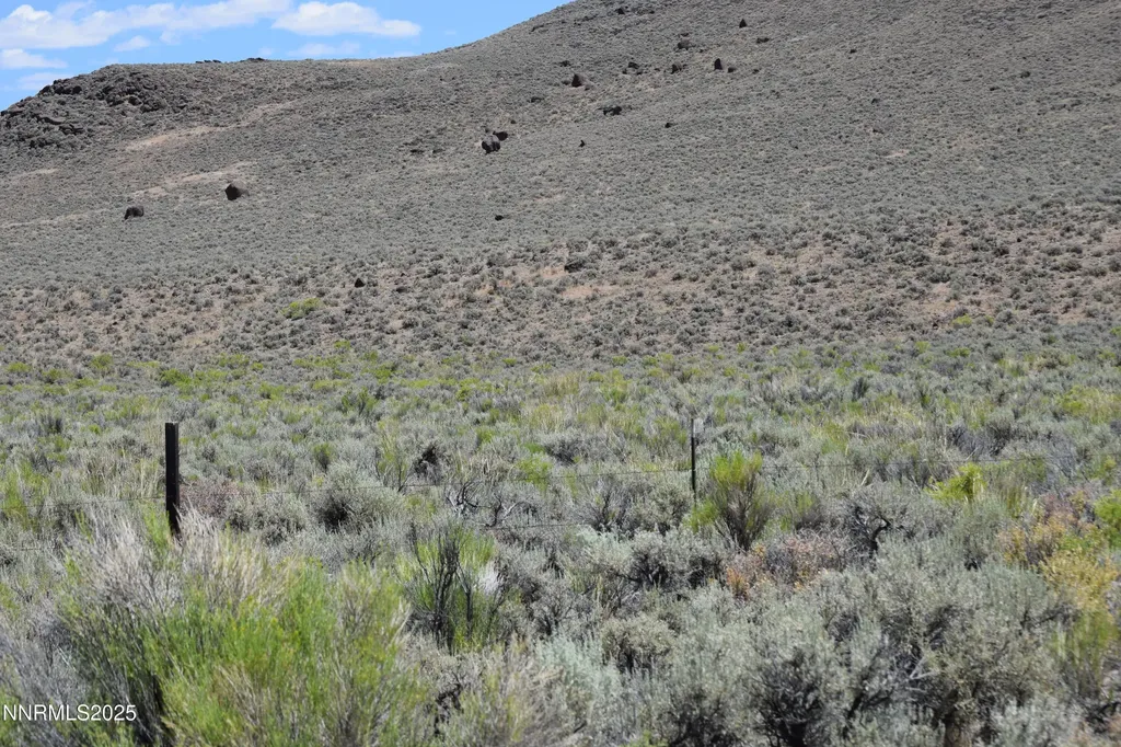 3303 High Rock Gerlach NV 89412