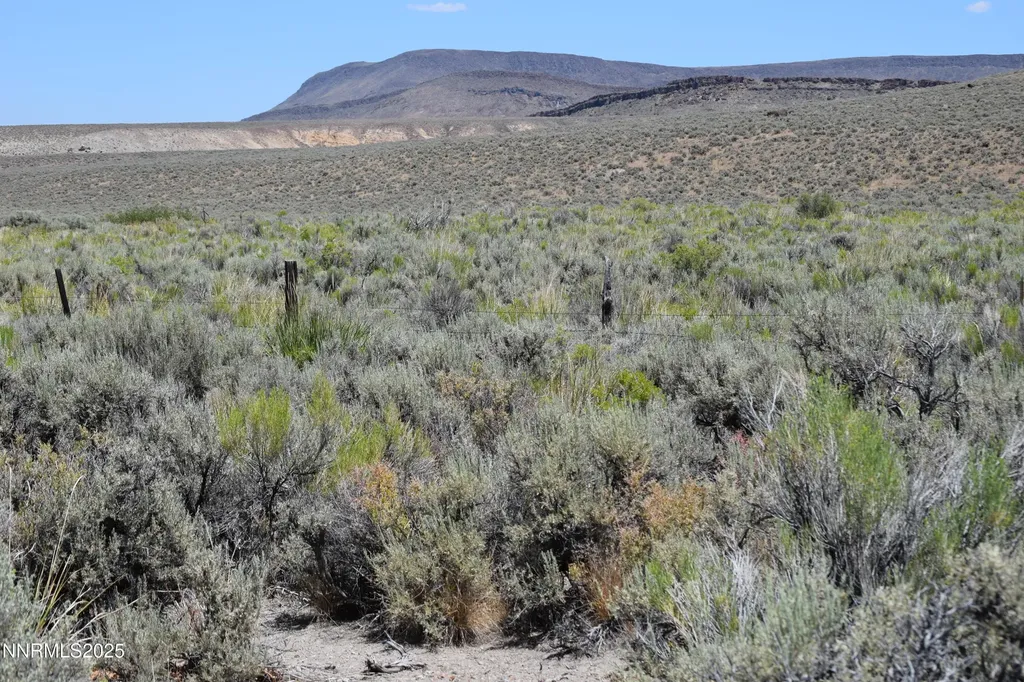 3303 High Rock Gerlach NV 89412