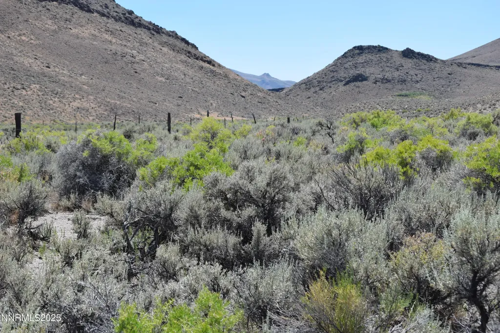 3303 High Rock Gerlach NV 89412