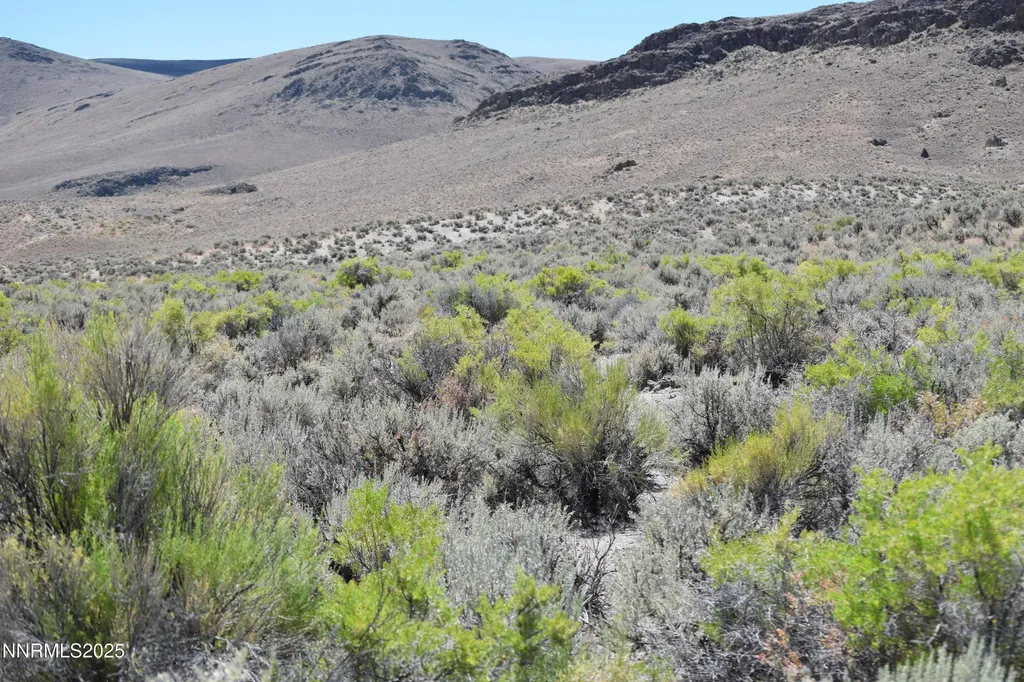 3303 High Rock Gerlach NV 89412