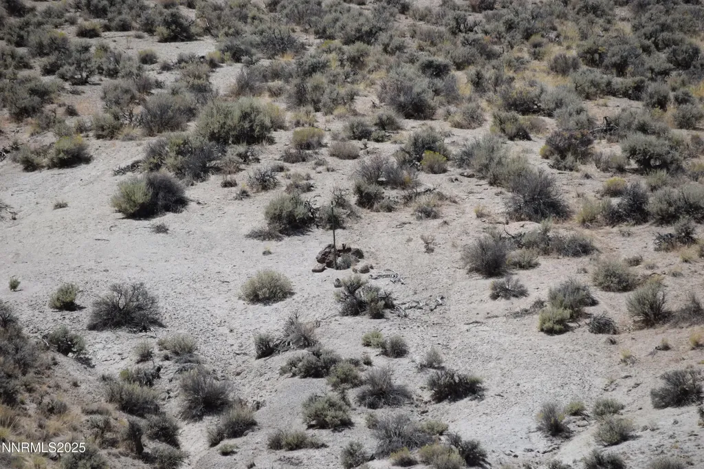 3303 High Rock Gerlach NV 89412