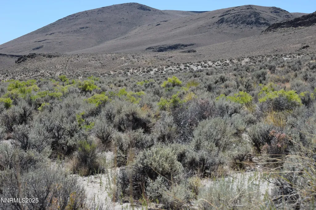 3303 High Rock Gerlach NV 89412