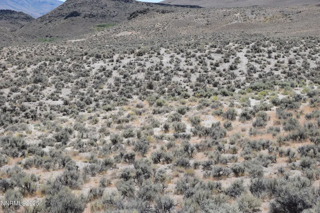 3303 High Rock Gerlach NV 89412