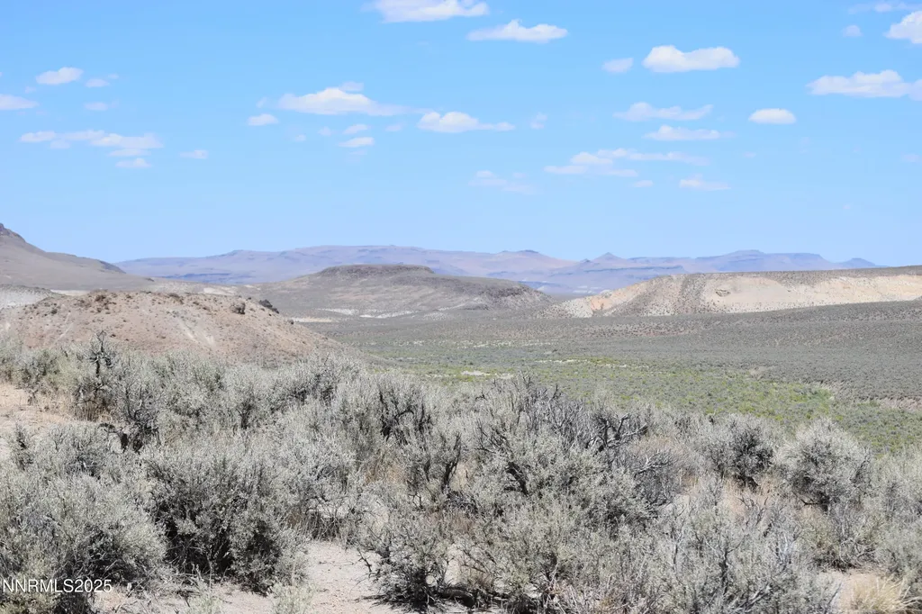 3303 High Rock Gerlach NV 89412