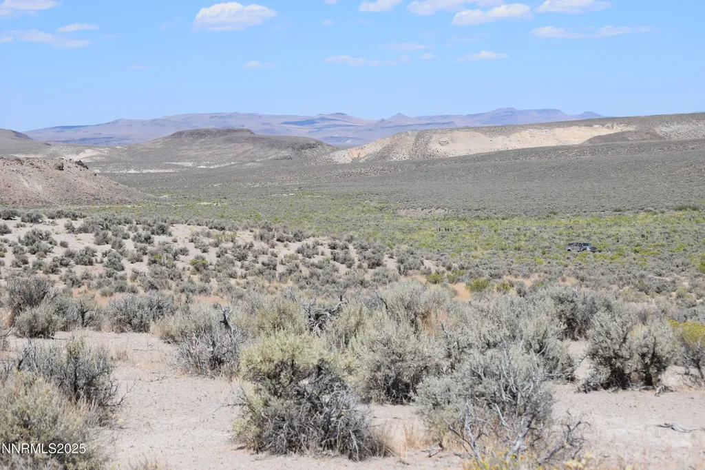 3303 High Rock Gerlach NV 89412