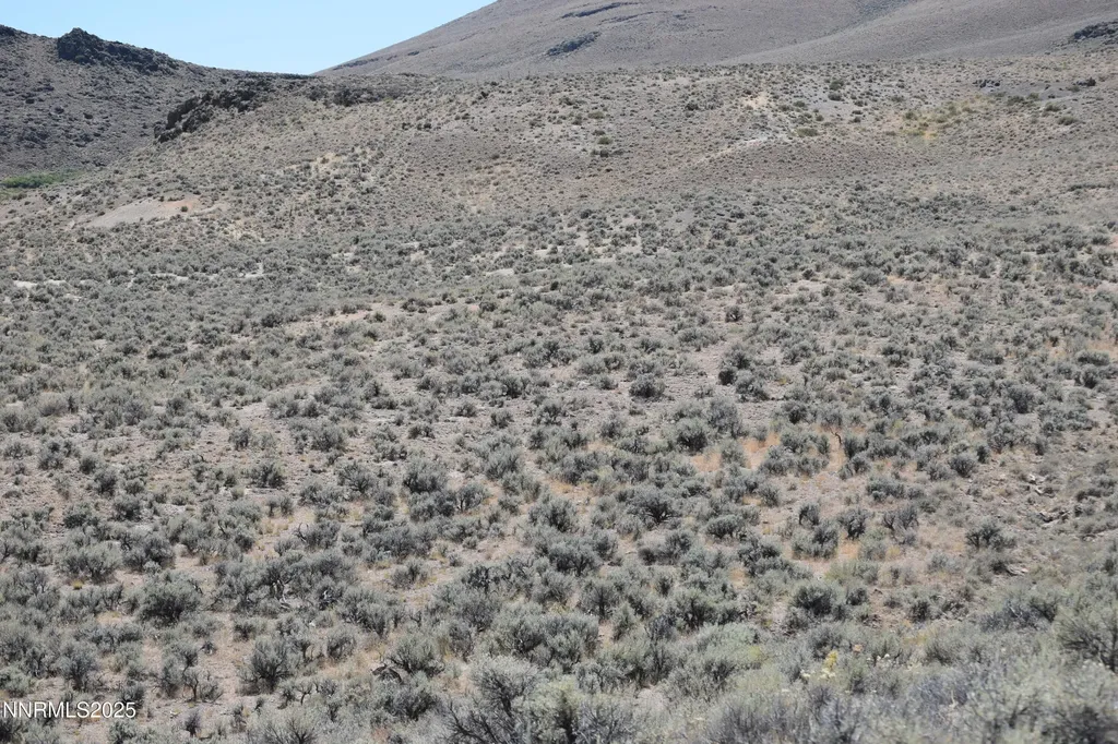 3303 High Rock Gerlach NV 89412