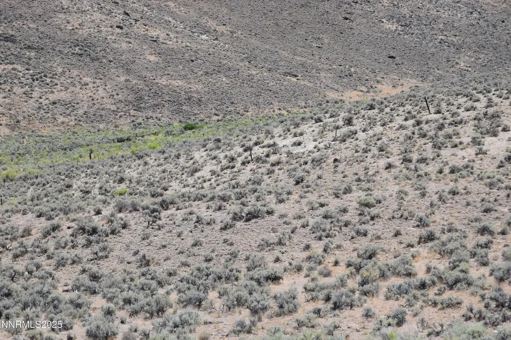 3303 High Rock Gerlach NV 89412