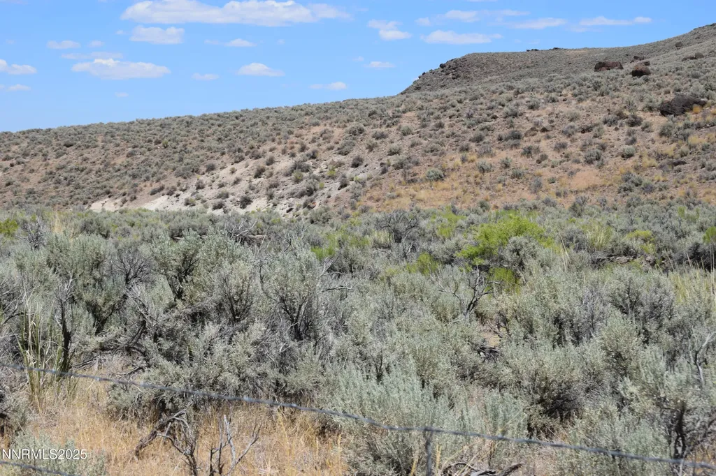 3303 High Rock Gerlach NV 89412