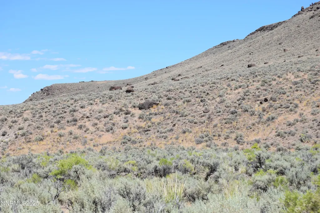 3303 High Rock Gerlach NV 89412