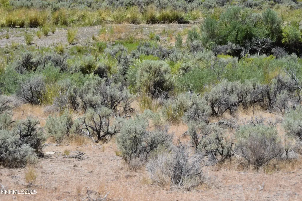 3303 High Rock Gerlach NV 89412