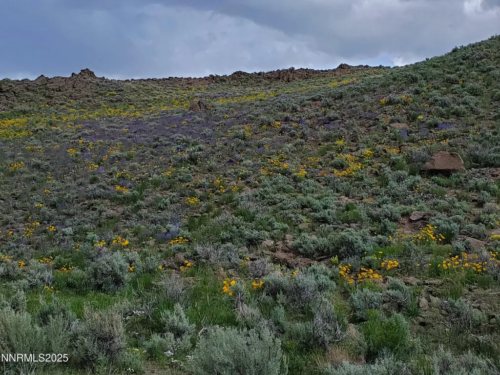 3303 High Rock Gerlach NV 89412