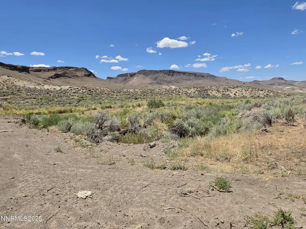 3304 High Rock Road Gerlach NV 89412