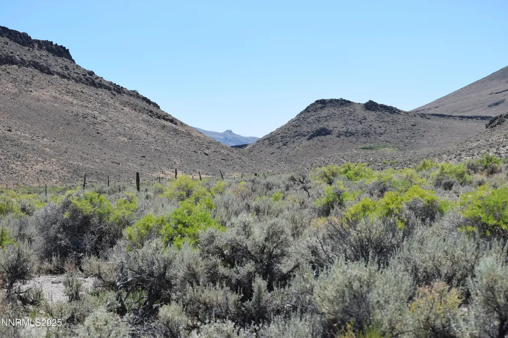 3304 High Rock Road Gerlach NV 89412