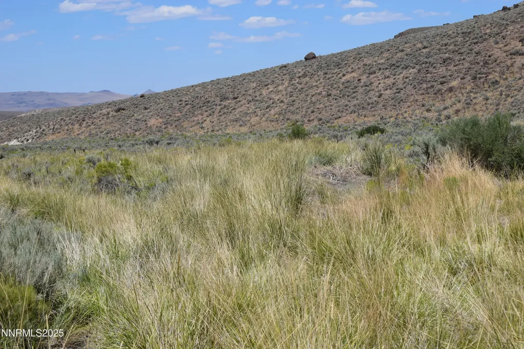 3304 High Rock Road Gerlach NV 89412
