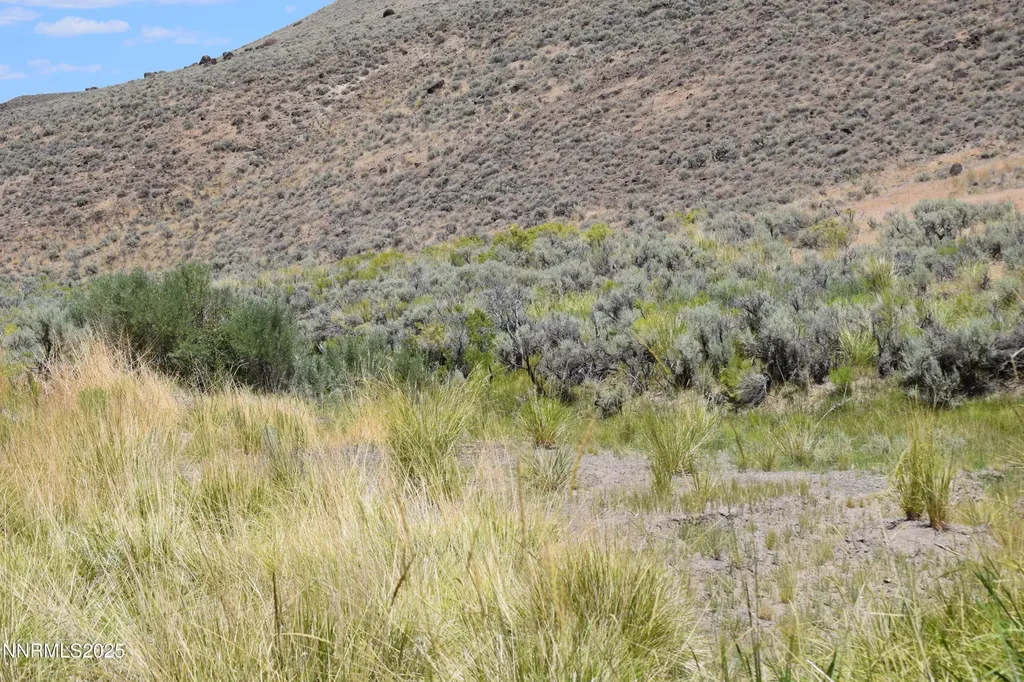 3304 High Rock Road Gerlach NV 89412
