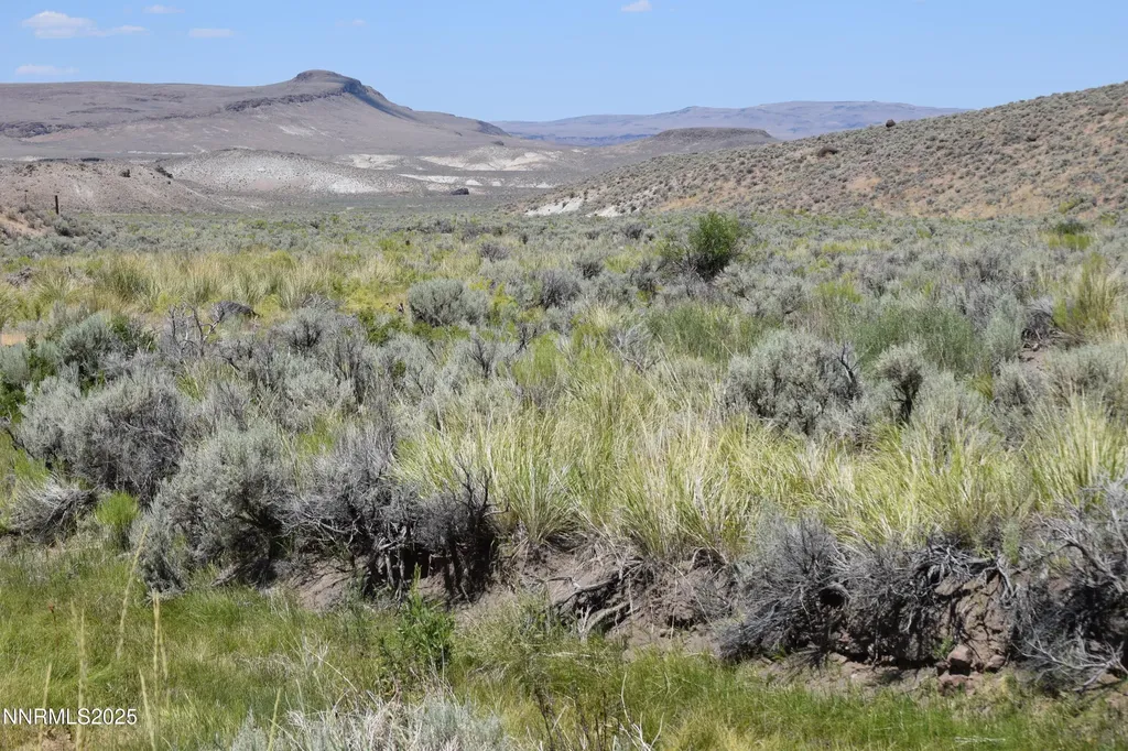 3304 High Rock Road Gerlach NV 89412