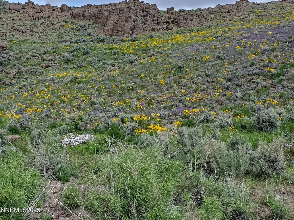 3304 High Rock Road Gerlach NV 89412